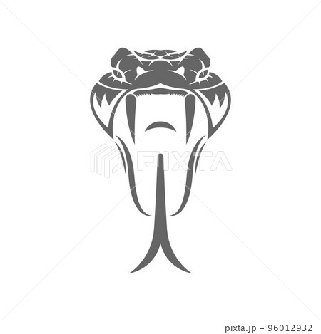 Python logo icon design illustration 96012932