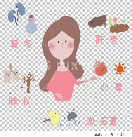 東洋医学の五臓と五つの季節との関係性を可愛いタッチで表したイラスト 96013101