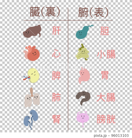 An illustration showing the front and back relationship between the five important viscera and gut in oriental medicine with a cute touch. 96013103