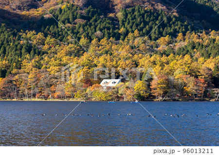 秋の榛名湖畔 群馬県 秋の榛名湖畔 群馬県 96013211