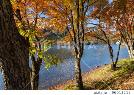秋の榛名湖畔 群馬県 秋の榛名湖畔 群馬県 96013215
