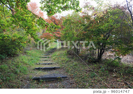 岩山公園、啄木詩の道 96014747