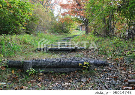 岩山公園、啄木詩の道 96014748