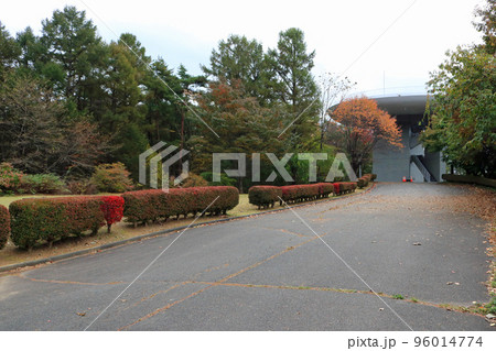 秋の鹿島精一記念展望台 96014774