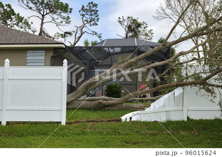 Fallen down big tree caused damage of yard fence after hurricane Ian in Florida. Consequences of natural disaster Fallen down big tree caused damage of yard fence after hurricane Ian in Florida. Consequences of natural disaster 96015624