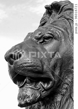 Close-Up Of Lion Sculpture, Trafalgar Square, London, UK. Close-Up Of Lion Sculpture, Trafalgar Square, London, UK. 96016721