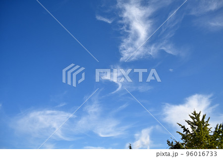 快晴の秋晴れにたゆたゆと大空散歩 快晴の秋晴れにたゆたゆと大空散歩 96016733