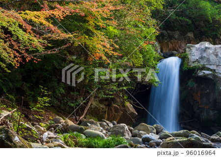 初秋に清流と紅葉に自然風景に癒される岳間渓谷の風景 96016964