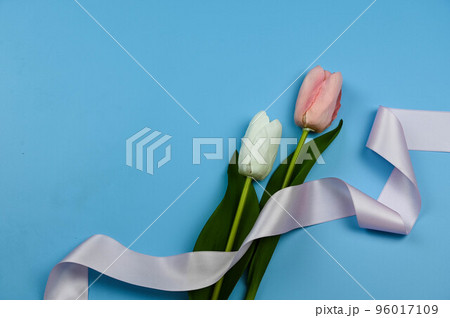 背景 バックグラウンド バックグランド 96017109