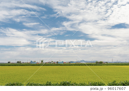 Korean countryside village and green field 96017607