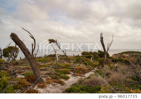 ウィルソンズプロモントリー国立公園の地の果ての景色 96017735