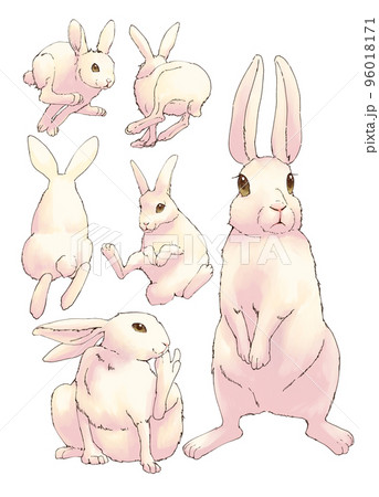 白うさぎセット 白うさぎセット 96018171