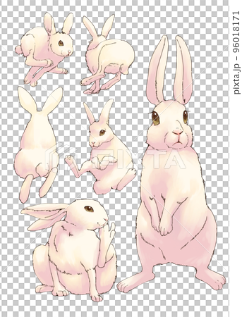 白うさぎセット 白うさぎセット 96018171