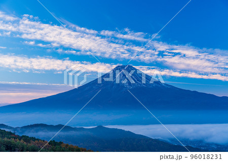 （山梨県）カラマツの黄葉、雲海と富士山 96018231