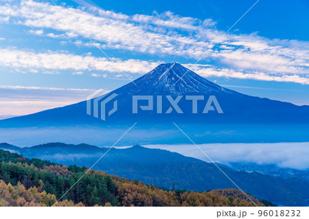 (山梨県)カラマツの黄葉、雲海と富士山 (山梨県)カラマツの黄葉、雲海と富士山 96018232