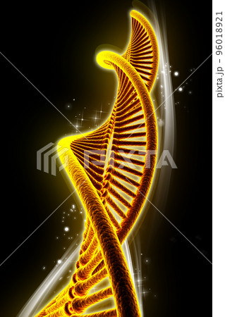 3d rendered dna  isolated on white background 96018921