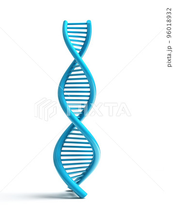 3d rendered dna isolated on white background 3d rendered dna isolated on white background 96018932