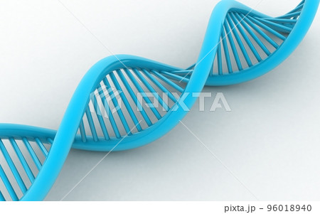 3d rendered dna  isolated on white background 96018940