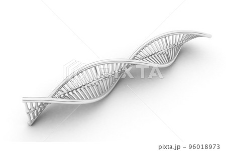 3d rendered dna  isolated on white background 96018973