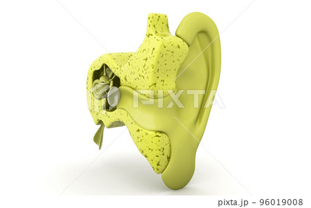 3d rendered inner ear cochlea on white background 3d rendered inner ear cochlea on white background 96019008