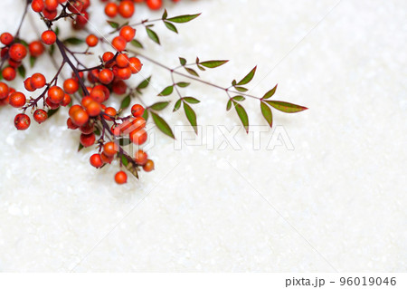 雪の上の南天の実　お正月イメージ 96019046