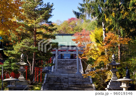 小樽市 住吉神社の紅葉 ( 北海道 小樽市 ) 96019346