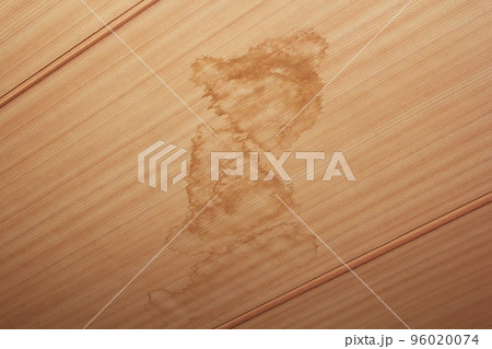 和室の天井の雨漏り跡のシミ 96020074