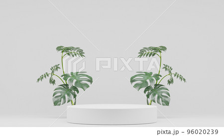 Monstera plants decoration and Empty podium Blank product shelf standing backdrop. 3D rendering. Monstera plants decoration and Empty podium Blank product shelf standing backdrop. 3D rendering. 96020239
