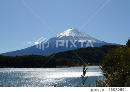 本栖湖畔から眺める富士山 本栖湖畔から眺める富士山 96020694