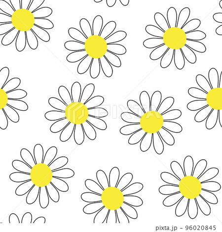 Camomile seamless vector pattern 96020845
