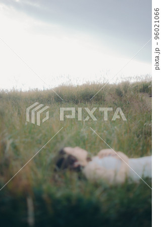 自然の中で佇んでいる女性の写真 自然の中で佇んでいる女性の写真 96021066