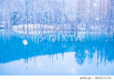 北海道の冬・薄化粧した青い池 96021130