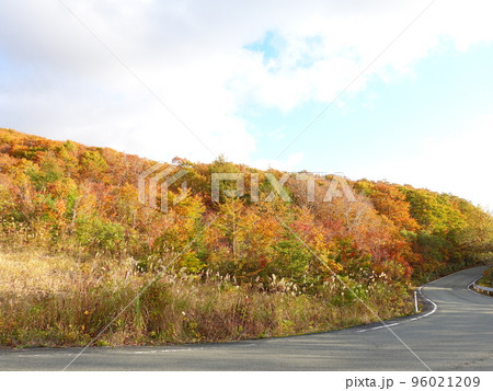 蔵王エコーライン  紅葉　黄葉　蔵王 96021209