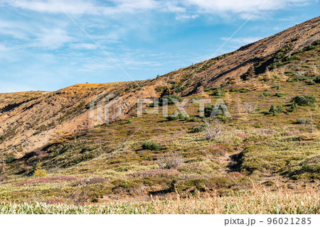 志賀草津高原ルート山田峠付近から見る湯釜周辺の山肌と自然 10月下旬 b-2 クールカラー 志賀草津高原ルート山田峠付近から見る湯釜周辺の山肌と自然 10月下旬 b-2 クールカラー 96021285
