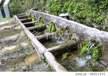 沖縄県那覇市首里にある歴史ある湧水「宝口樋川」洗濯用は5つに分かれています! 沖縄県那覇市首里にある歴史ある湧水「宝口樋川」洗濯用は5つに分かれています! 96021345