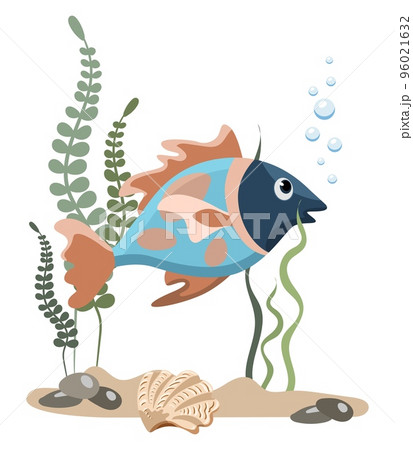 Single aquarium blue and orange tropical fish with seaweed and stones, isolated on white background Single aquarium blue and orange tropical fish with seaweed and stones, isolated on white background 96021632