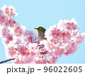 椿寒桜とメジロ 96022605