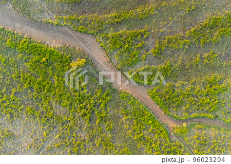 Top aerial panoramic view of green steppe or meadow in summer, landscape with trees and bushes, drought. Top aerial panoramic view of green steppe or meadow in summer, landscape with trees and bushes, drought. 96023204