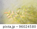 窓越しの南天の紅葉　ソフト撮影 96024580