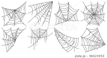 Set of Spider web isolated on white background Set of Spider web isolated on white background 96024950