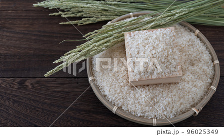 白米と稲穂 96025349