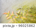 窓越しの南天の葉　ソフトタッチ撮影 96025862