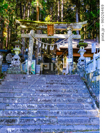 石段と石鳥居(縦) 石段と石鳥居(縦) 96026469