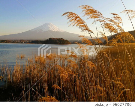 河口湖と富士山③ 96027706