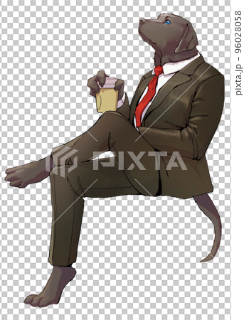 Gentleman labrador retriever in a suit 96028058
