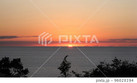 海に沈む夕日と樹木 海に沈む夕日と樹木 96028194