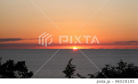 海に沈む夕日と樹木 海に沈む夕日と樹木 96028195