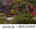 庭園の紅葉 96028468