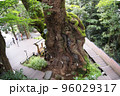 国指定記念物 96029317