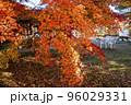 紅葉のカフェテラス 96029331